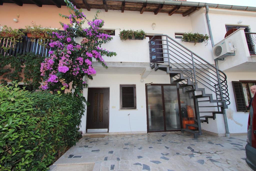 Apartment Albert Rovinj Eksteriør bilde